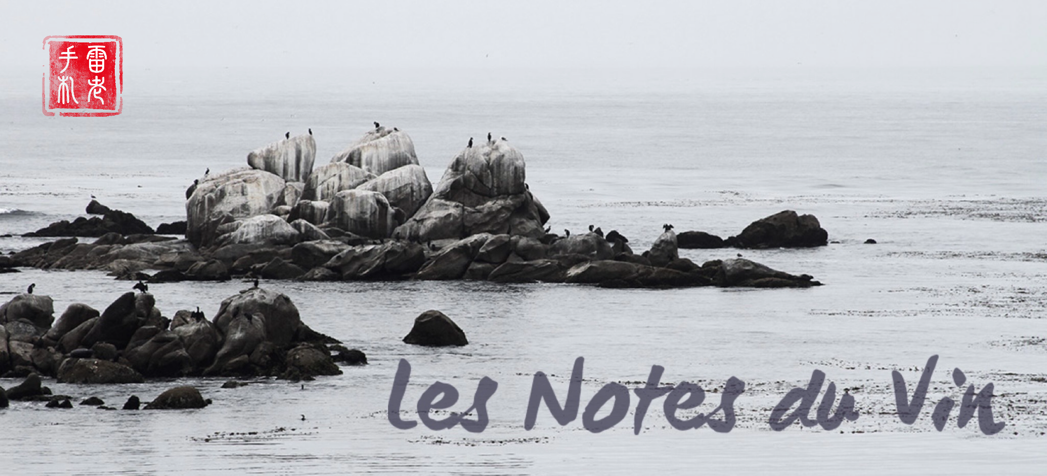 Les Notes du Vin。雷老手札